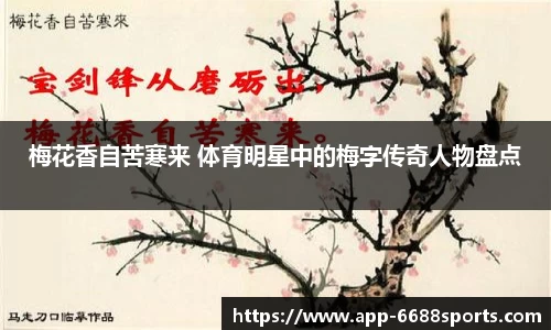 梅花香自苦寒来 体育明星中的梅字传奇人物盘点